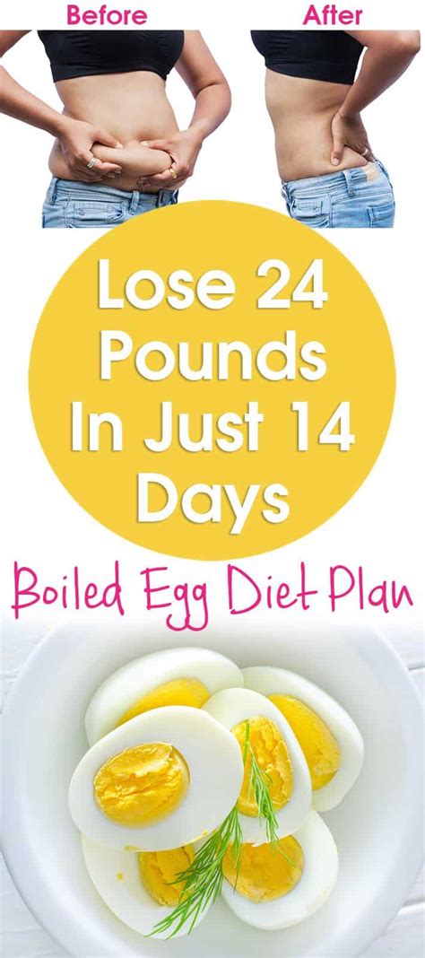 boiled egg diet success stories|14 Day Egg Diet: Lose 24 Pounds In 2 Weeks [Success Stories].